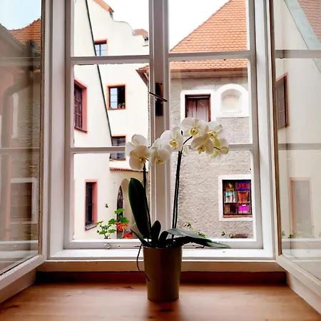 Old Town Living
