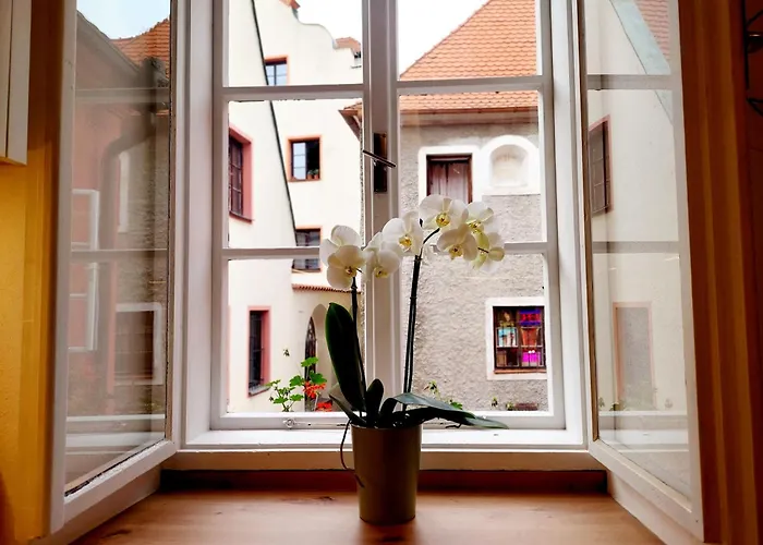 Old Town Living